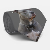 Dinking Pitbull-Stropdas Stropdas (Opgerold)