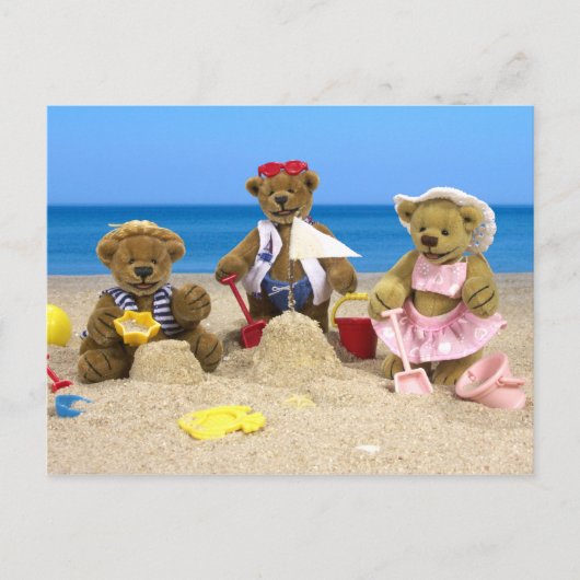 Dinky Beren Beach Fun Briefkaart (Voorkant)