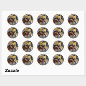 Dinky Beren gitaar duet Ronde Sticker (Vel)