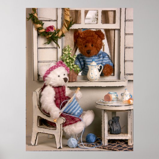 Dinky-Beren: Leven per land Poster (Voorkant)