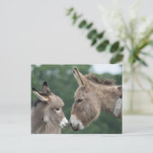 Dinky donkey briefkaart (Staand voorkant)