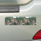 Dinky donkey bumpersticker (Op auto)