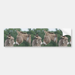 Dinky donkey bumpersticker