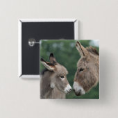 Dinky donkey vierkante button 5,1 cm (Voorkant /achterkant)