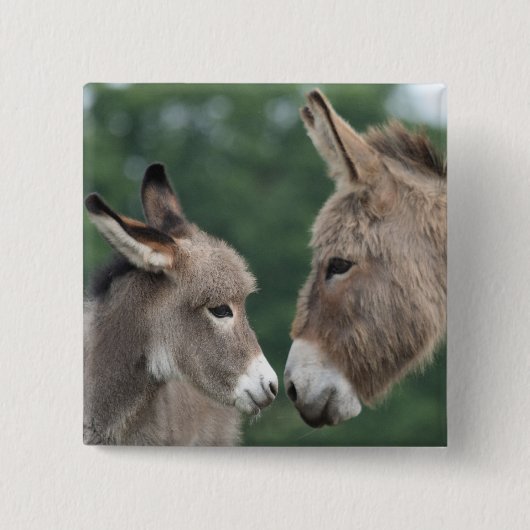 Dinky donkey vierkante button 5,1 cm (Voorkant)
