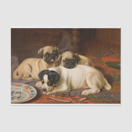 Dinner, Two Pugs and a Terrier van Horatio Coulder Tissuepapier (Voorkant)