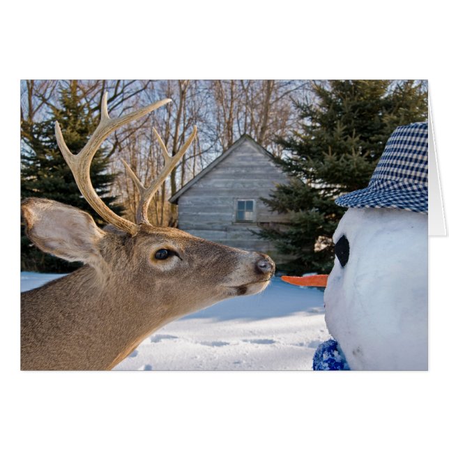 Dinnertime (Voorkant Horizontaal)