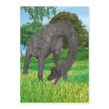 Dino Brachiosaurus