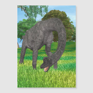 Dino Brachiosaurus