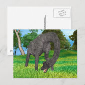 Dino Brachiosaurus Briefkaart (Voorkant / Achterkant)