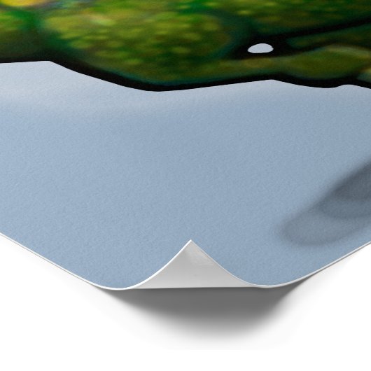 Dino Bronco Poster (Hoek)