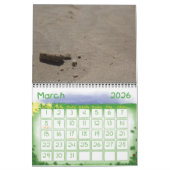 Dino-Calender Kalender (Mar 2026)