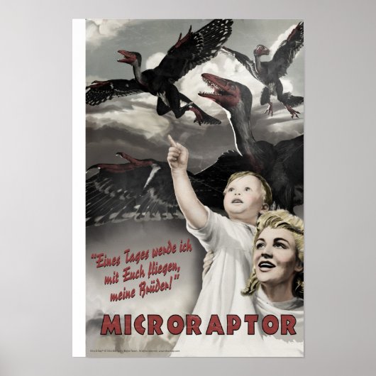 Dino D-Day: Microraptor Poster (Voorkant)