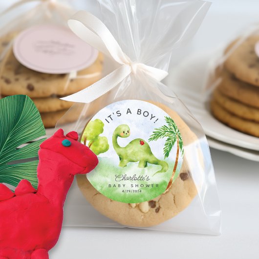 Dino Delight Baby shower Het is een Boy Classic Ro Ronde Sticker