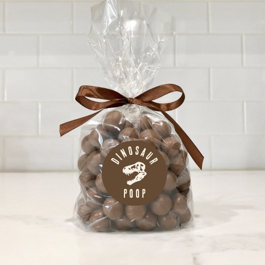 Dino Dig Dinosaurus Pop Uitgraving Verjaardagstrak Ronde Sticker