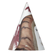 Dino Eggs, Kinderdinosaurus Verjaardagsfeest Feesthoedjes (Links)