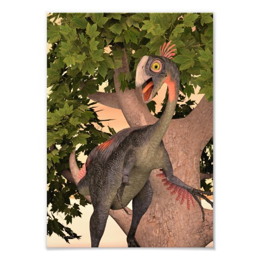 Dino Gigantoraptor Foto Afdruk (Voorkant)