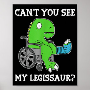 Dino Grappig Beterschap Gebroken Been Cadeau Dinos Poster