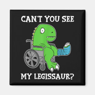 Dino Grappig Beterschap Gebroken Been Geschenk Din Magneet