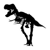 Dino Happy Mail Jungle kids Ronde Sticker