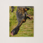 Dino in het Gras   Legpuzzel (Verticaal)