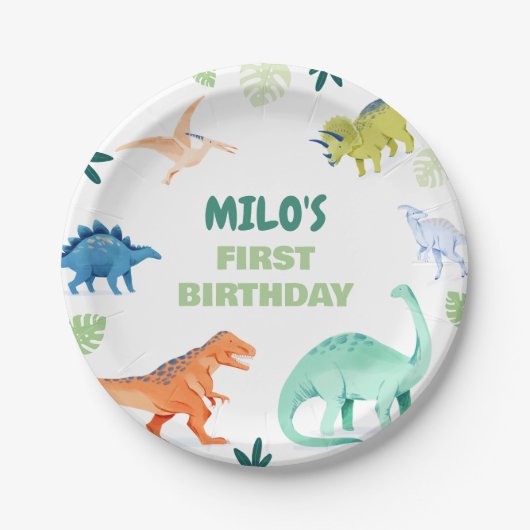 Dino Party Kleurrijke Dinosaurus Verjaardagspapier Papieren Bordje (Voorkant)