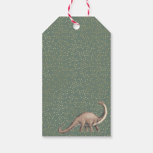 Dino Party stomp chomp roar baby shower bedankt Cadeaulabel (Achterkant)