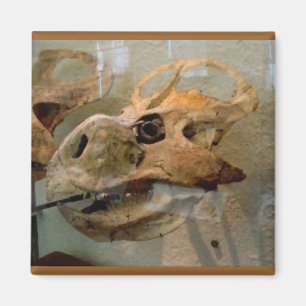 Dino-schedel olieverfschilderij magneet