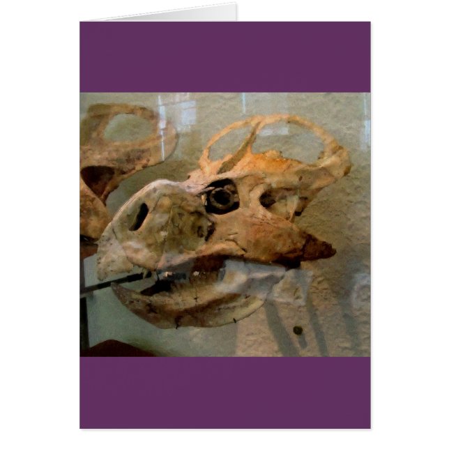 Dino Skull (Voorkant)