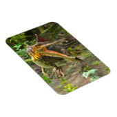 Dino Spinosaurus Magneet (Rechterzijde)