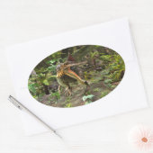 Dino Spinosaurus Ovale Sticker (Envelop)