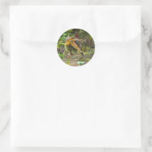 Dino Spinosaurus Ronde Sticker (Tas)