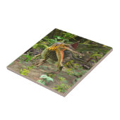 Dino Spinosaurus Tegeltje (Zijkant)