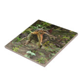 Dino Spinosaurus Tegeltje (Zijkant)