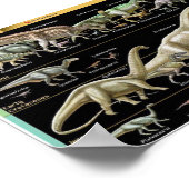Dino-tijdlijn Biologie Poster (Hoek)