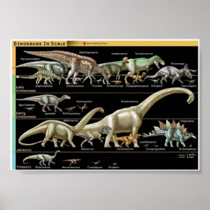 Dino-tijdlijn Biologie Poster