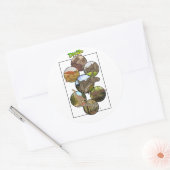 Dino Zoo: Dinosaur Collage #2 Ronde Sticker (Envelop)