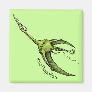 Dinoflagellaat Magneet