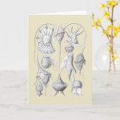 Dinoflagellaten Kaart (Gele Bloem)