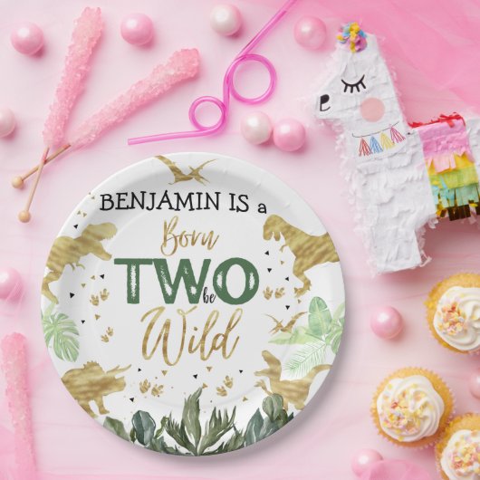 Dinosaur 2e verjaardag papieren bordje (Feest)