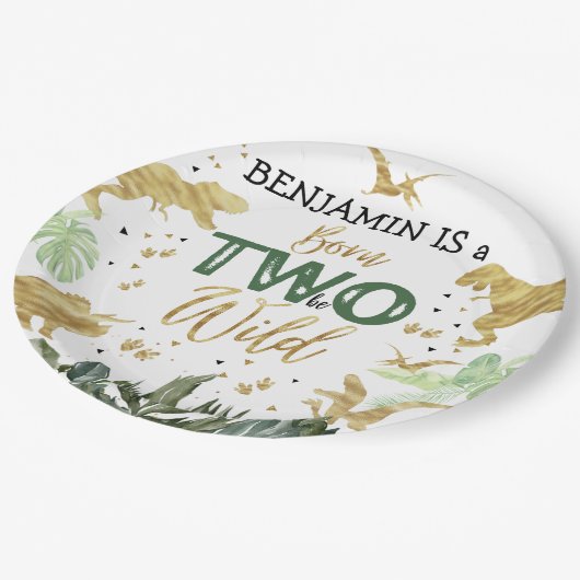 Dinosaur 2e verjaardag papieren bordje (Gekanteld)