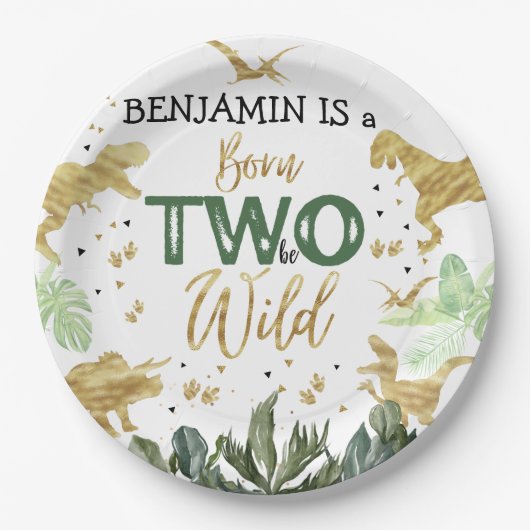 Dinosaur 2e verjaardag papieren bordje (Voorkant)