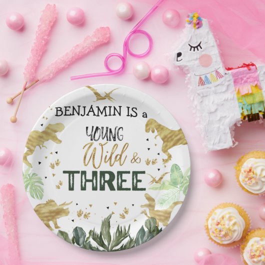 Dinosaur 3e verjaardag jongensfeest papieren bordje (Feest)