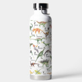 Dinosaur Alphabet Waterfles (Links)