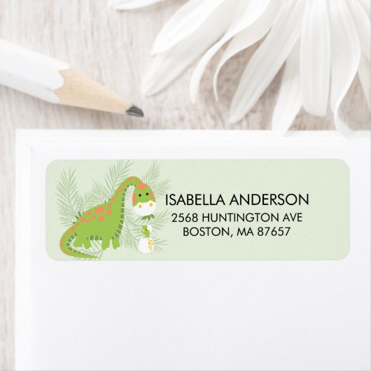 Dinosaur Baby shower Adres Etiket (Insitu)