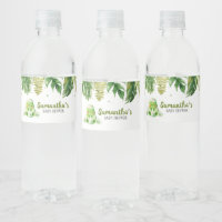 Dinosaur Baby shower