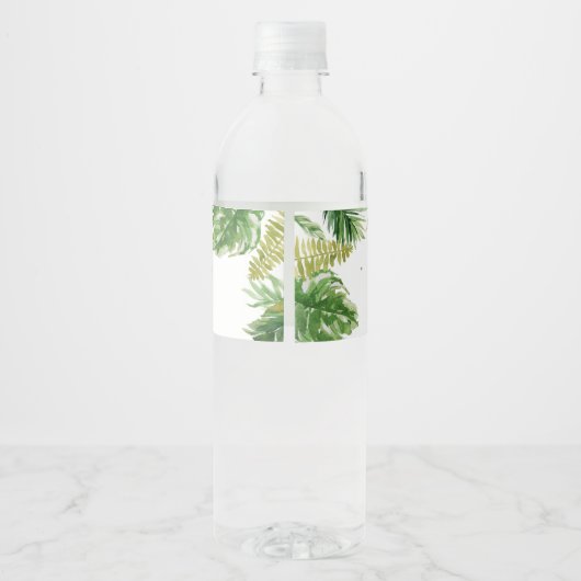 Dinosaur Baby shower Waterfles Etiket (Achterkant)