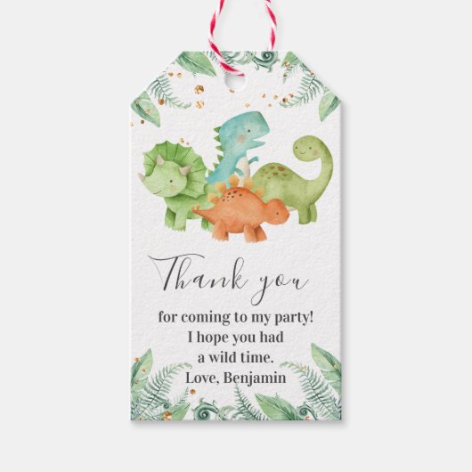 Dinosaur Birthday I Baby shower Bedankt Cadeaulabel (Voorkant)