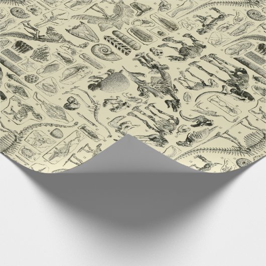 Dinosaur Bone Fossils Art Cadeaupapier (Hoek)