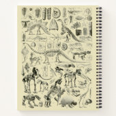 Dinosaur Bone Fossils Art Notitieboek (Achterkant)